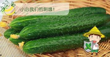 吃瓜十八第六集免费观看,揭秘幕后真相，免费观看大揭秘！